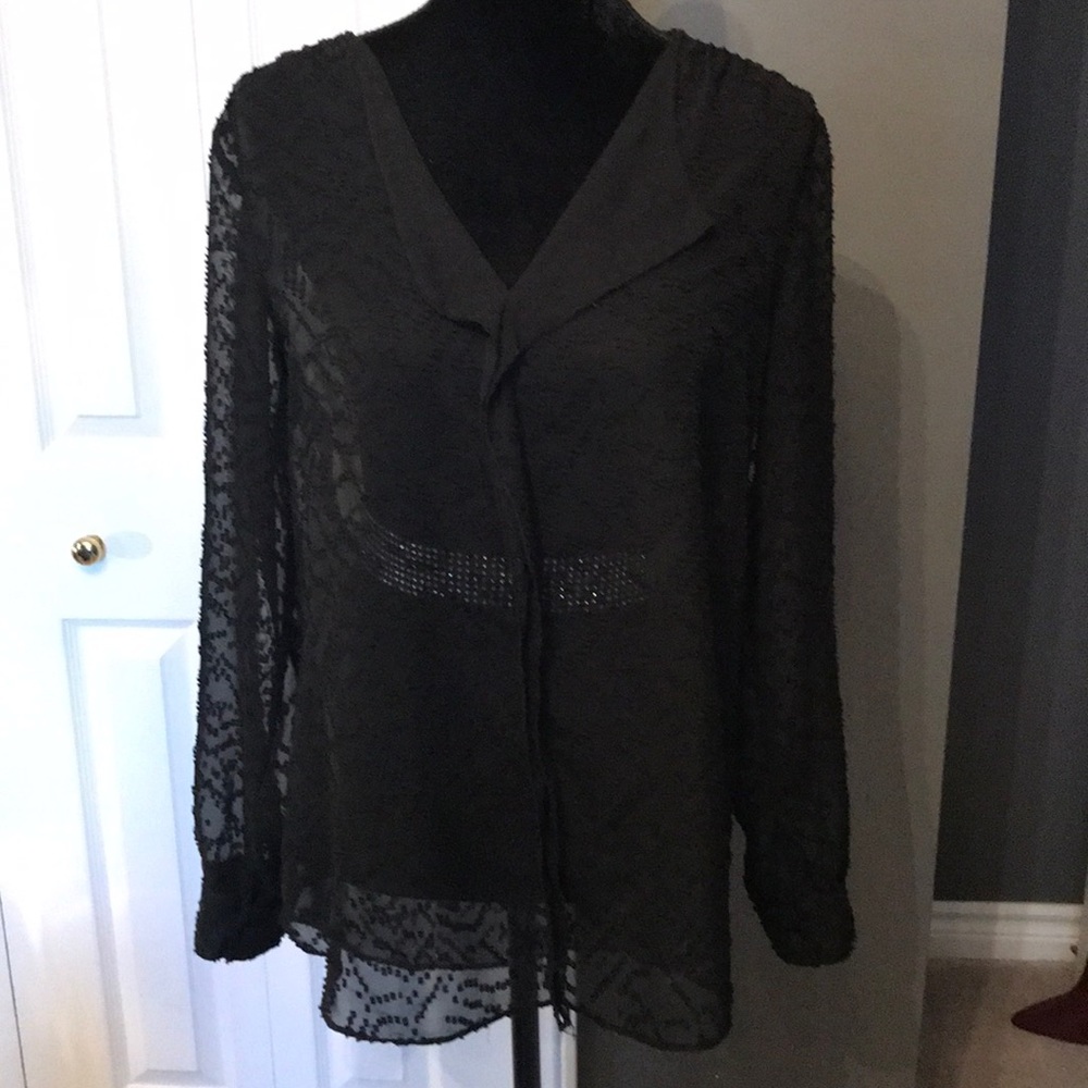 Le Chateau sheer blouse